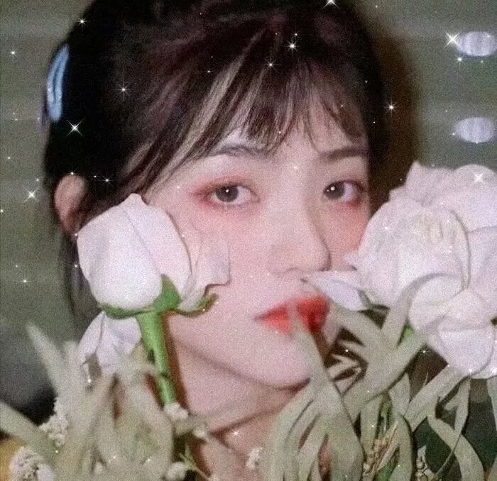 直言真相第三季